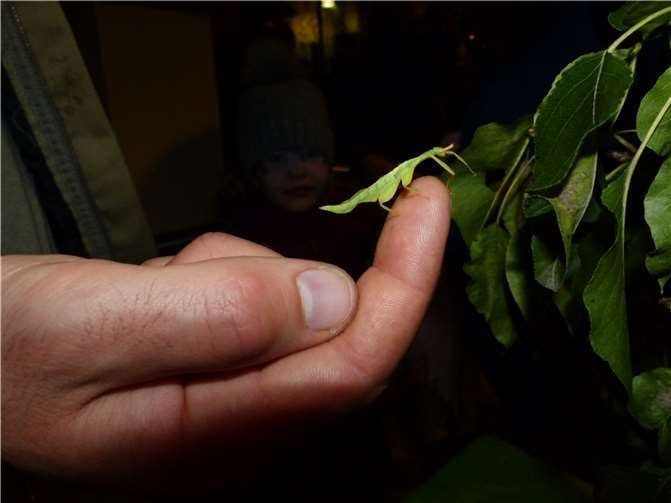 Halloween-Abend im Zoo Neuwied