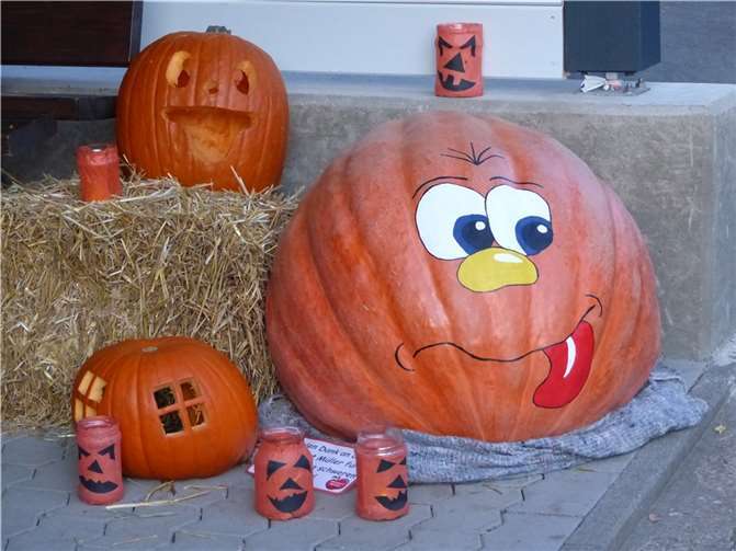 Halloween-Abend im Zoo Neuwied 