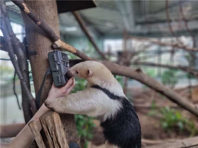 Tierisch Vorfreude schenken - Die Wunschliste des Zoo Neuwied