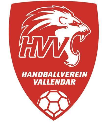 Löwen-Team 1 verliert, D1-Jugend überzeugt 