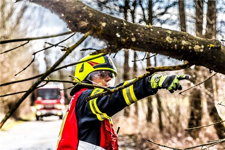 Sturmschäden in zwei Ortschaften 