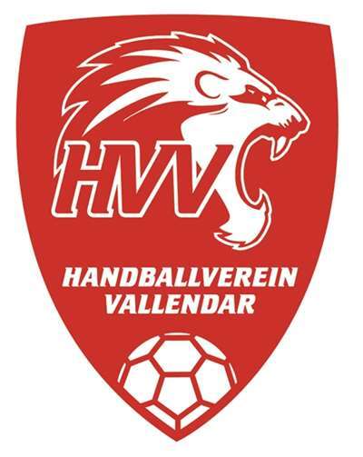 Löwen-Team 1 verliert, D1-Jugend überzeugt 