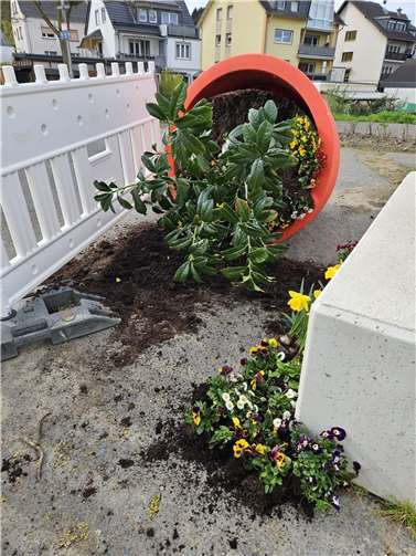 Vandalismus an Pflanzgefäß in Bachem 