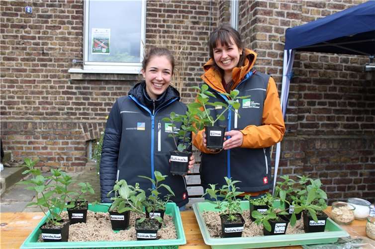 Meckenheimer Blütenfest erweist sich einmal mehr als Frequenzbringer 