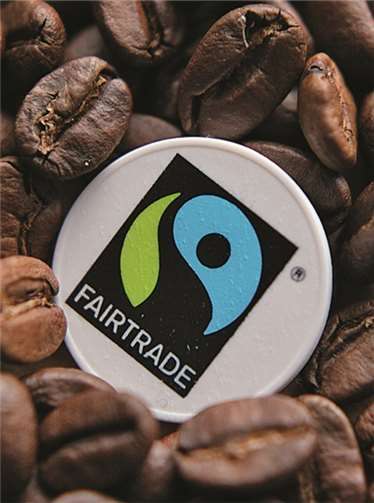 Stadtrat spricht sich für eine Antragsstellung aus