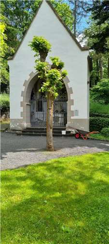 Grünfläche vor Gedenkstätte ist kein Hundeklo! 