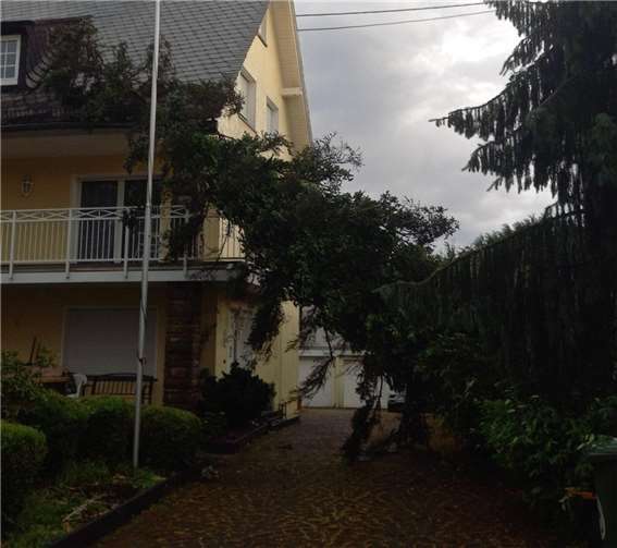 Dächer wurden beschädigt und Bäume entwurzelt