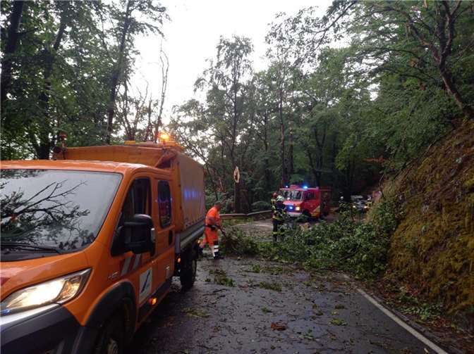 Dächer wurden beschädigt und Bäume entwurzelt 