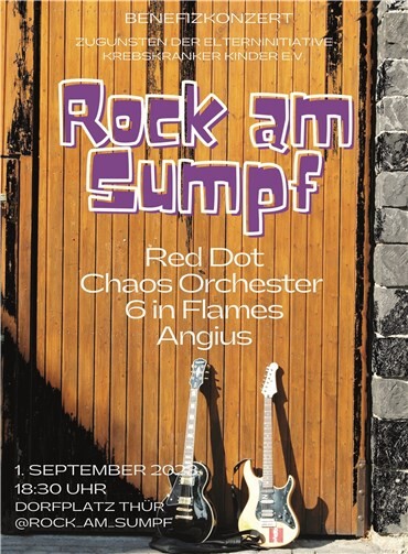 Vier engagierte Bands rocken für einen guten Zweck 