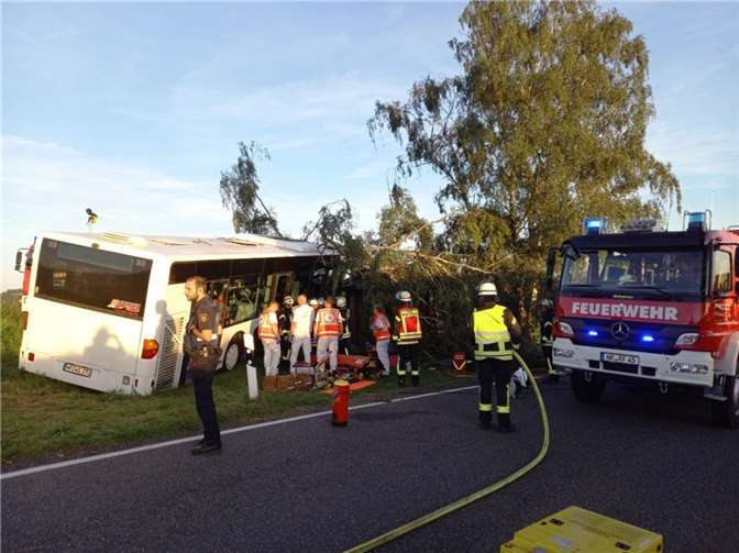 Bus prallt frontal gegen Baum: Fahrer wird hinterm Steuer eingeklemmt Bus prallt frontal gegen Baum: Fahrer wird hinterm Steuer eingeklemmt