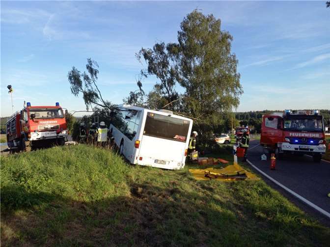Bus prallt frontal gegen Baum: Fahrer wird hinterm Steuer eingeklemmt Bus prallt frontal gegen Baum: Fahrer wird hinterm Steuer eingeklemmt