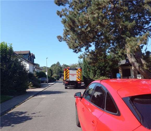 Melsbach: Schwerverletzter nach Absturz bei Baumarbeiten 