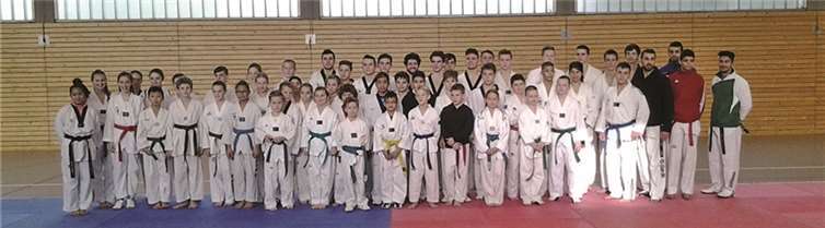 Taekwondosportler beim Kadertraining des Landes 