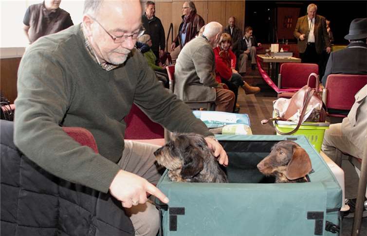 Schönheitswettbewerb der Vierbeiner