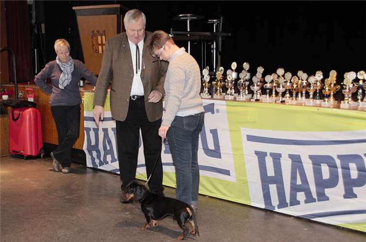 Schönheitswettbewerb der Vierbeiner 