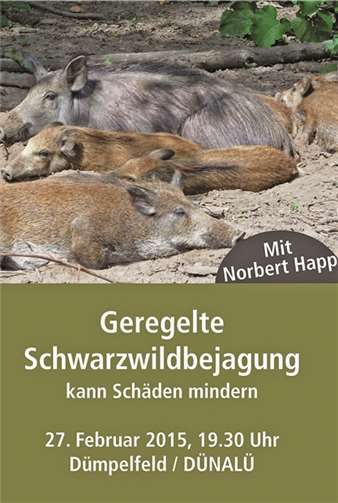 Schwarzwild jagen, aber geregelt 