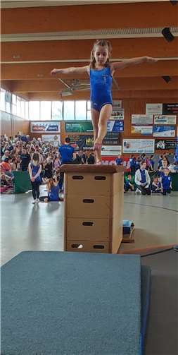 350 junge Teilnehmende aus neun Vereinen begeisterten mit ihren Übungen 