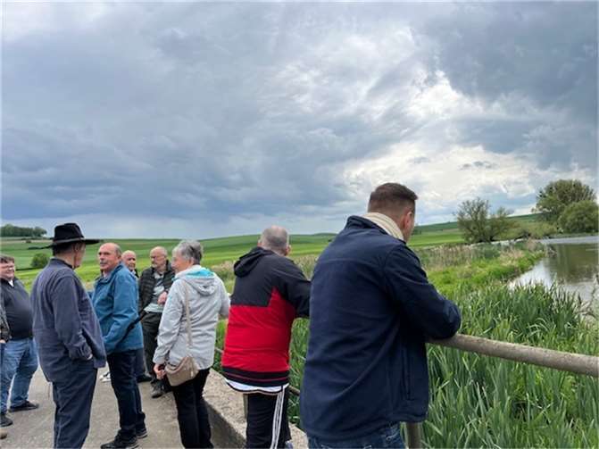 Sumpfgebiet mit vielfältiger Flora und Fauna 