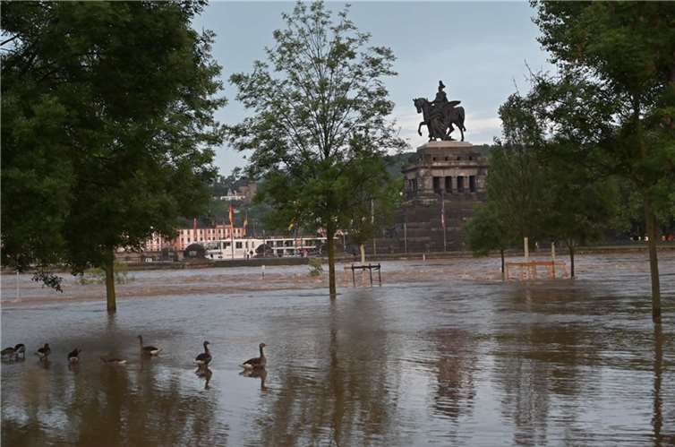 Koblenz: Campinggäste werden nach Hause geschickt