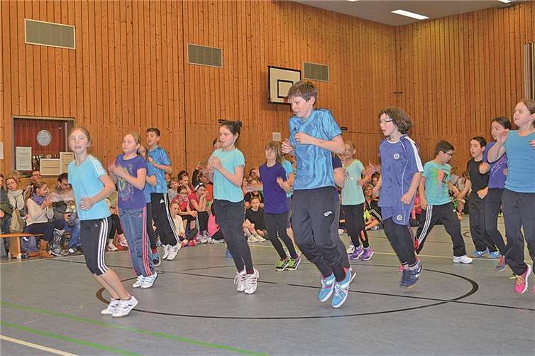 34. Tag des Sports lockte Hunderte von Zuschauern auf das Inselgymnasium 