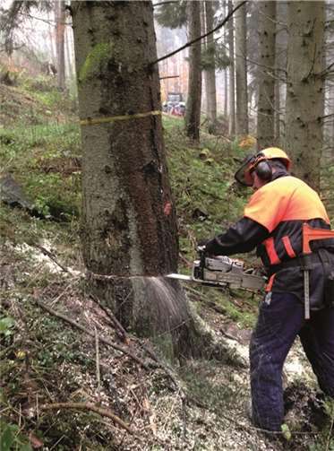 Vogelschutz wird ernst genommen