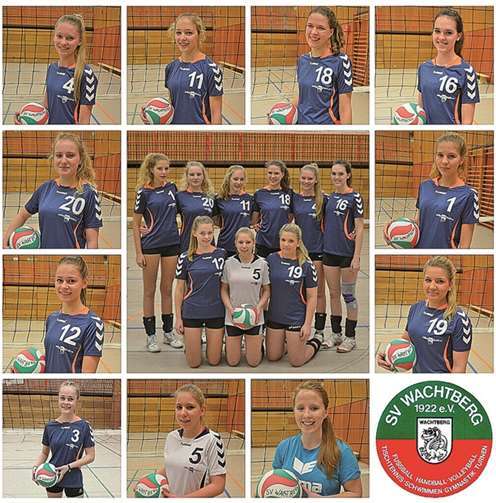 Volleyballnachwuchs bärenstark