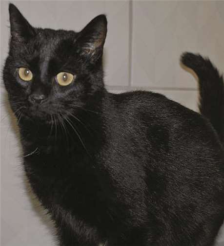 Babsi streunte tagelang herum