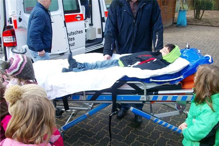 Besuch für die „schlauen Delphine“ 