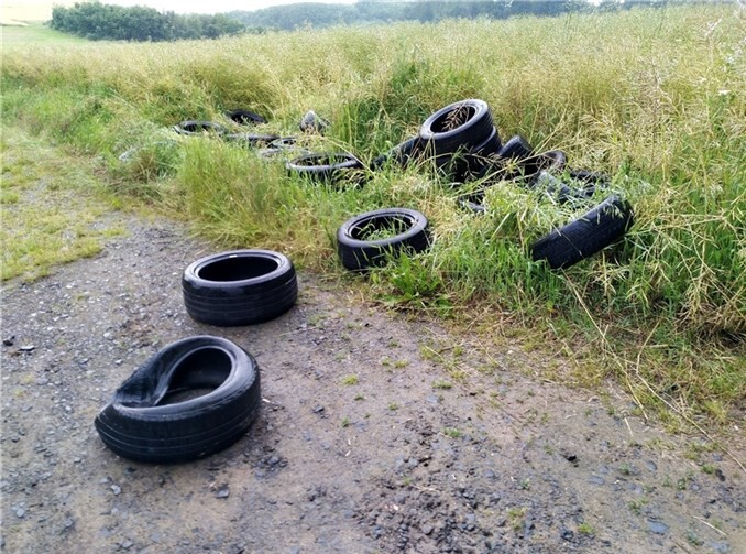 Illegal in der Natur entsorgte Altreifen 