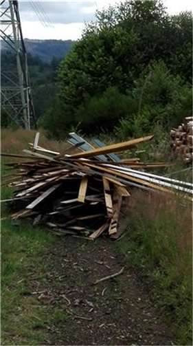 Umweltsünder entsorgt seine Gartenhütte illegal im Wald 