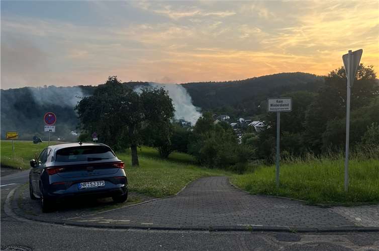 Einsätze der Feuerwehr Rengsdorf-Waldbreitbach: Tierrettung, Gasaustritt und Brände Einsätze der Feuerwehr Rengsdorf-Waldbreitbach: Tierrettung, Gasaustritt und Brände