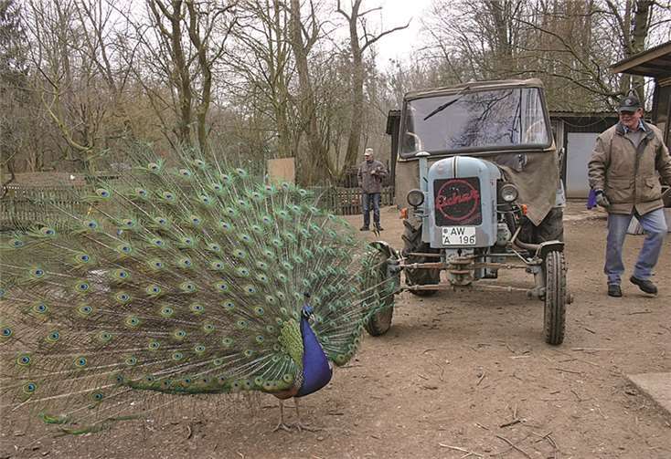 Viele Helfer unterwegs 