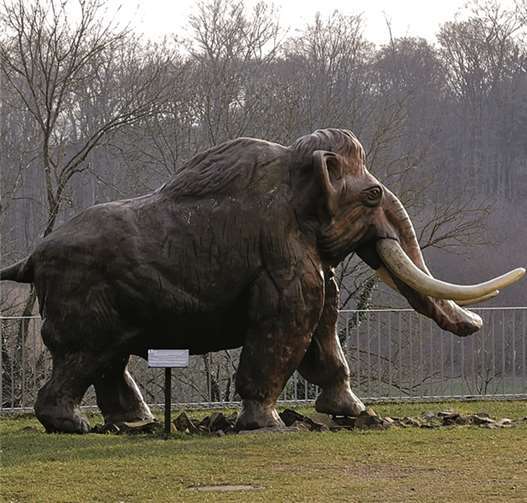 Monrepos - Schloss der Forscher 