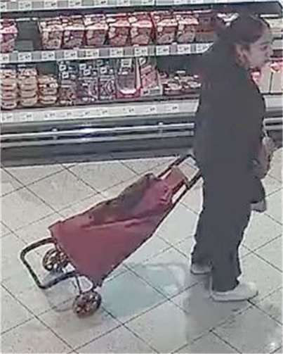 Fahndung nach mutmaßlicher Diebesbande 