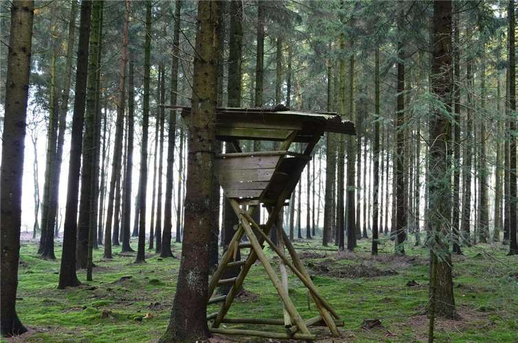 Hochsitz-Vandalismus in Hundsdorf
