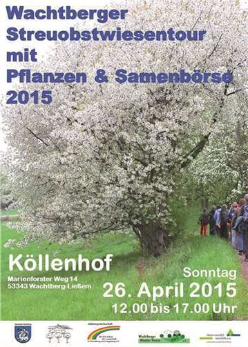 Blühende Streuobstbäume 