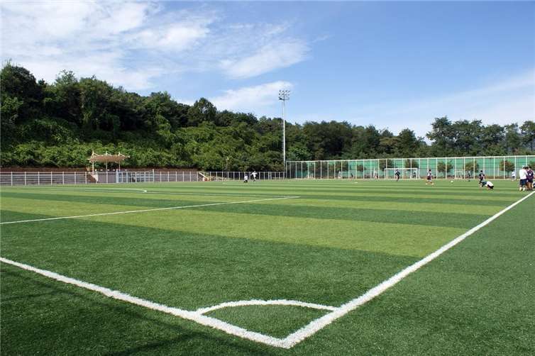 Sportplatz durch Silvesterrakete beschädigt