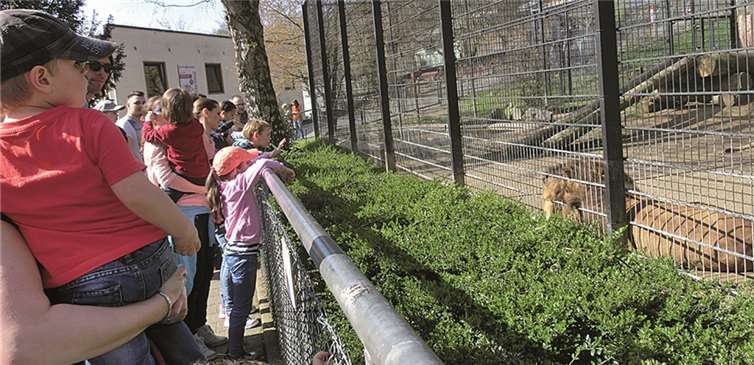 Besuch im Neuwieder Zoo 
