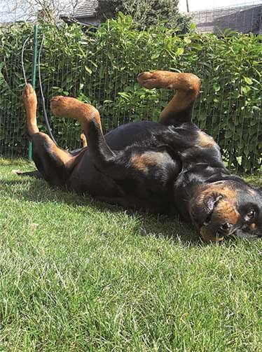 Wandertag mit der FWG 