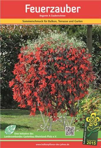 Ein robustes und reizvolles Paar 