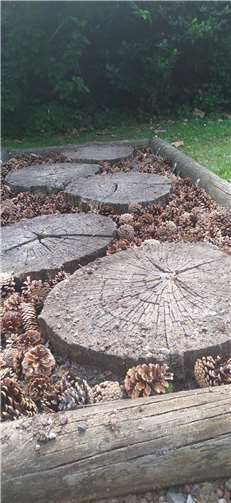 Barfußpfad im Stadtpark wieder wie neu Barfußpfad im Stadtpark wieder wie neu