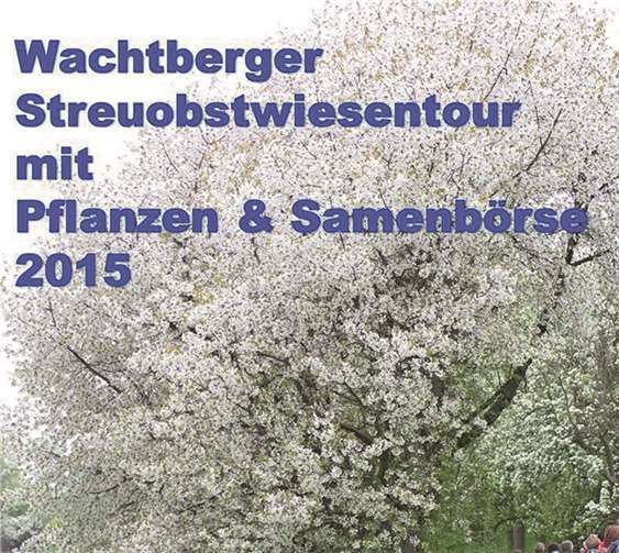 Streuobstwiesentour mit Pflanzen- und Samenbörse 