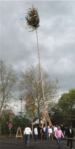 Ein Maibaum für Groß und Klein 