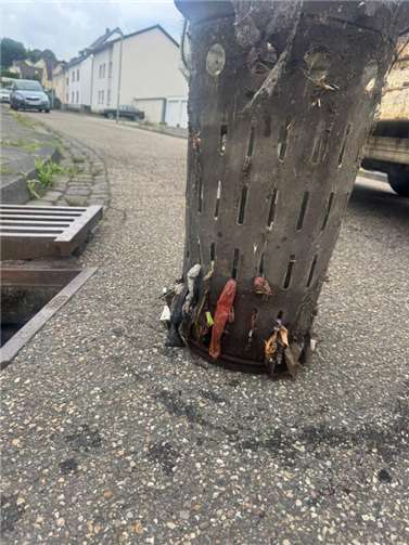 Neuwied: Verstopfte Gullys durch Hundekotbeutel 