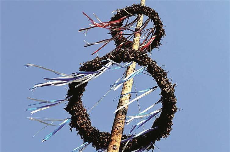 Die Grenzen der Brauchtumspflege? 