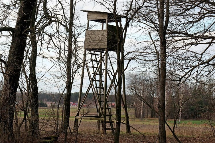 21.11. und 22.11.: Drückjagd in Neuwied