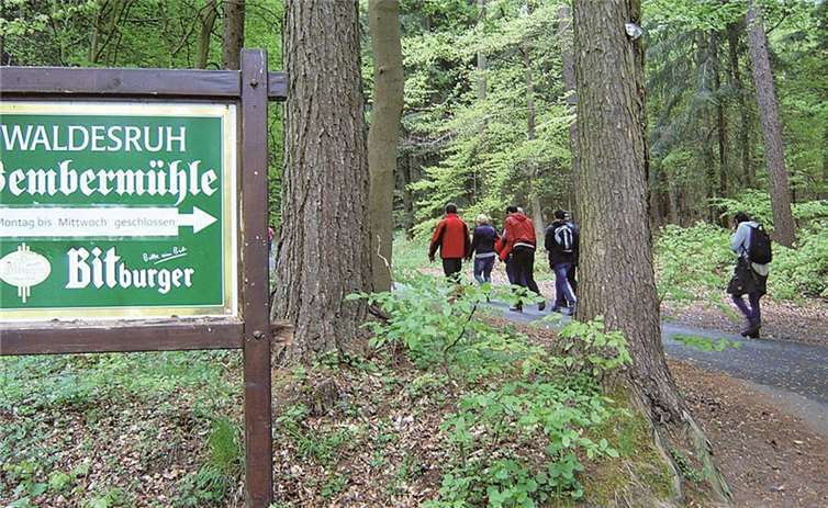 Erlebnisreicher Wandertag zur Bembermühle 