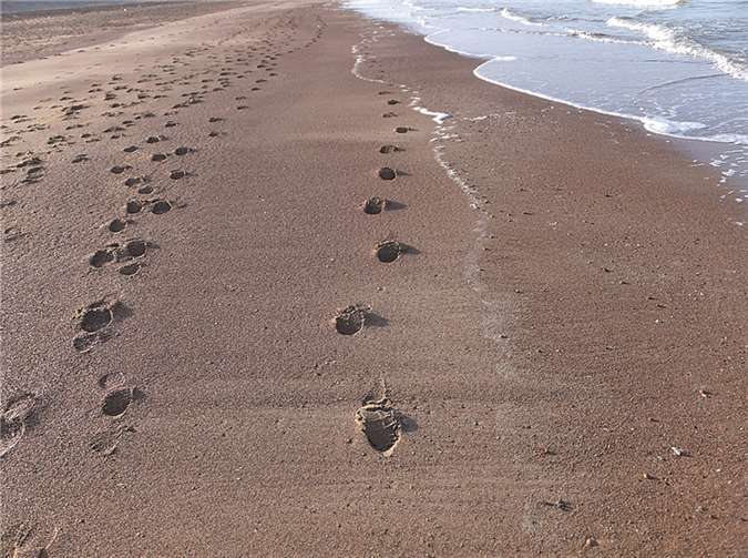 13. Walking-Seminar in Vlissingen 