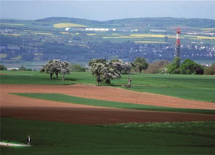 Vatertag am „Schau ins Land“ 
