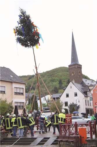 Maibaum wehrte sich gegen das Stellen 